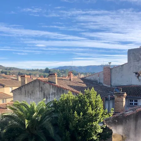 Cocon En Bois Majeur - Au Coeur De Carnaval A Pied - 4 Couchages * Limoux