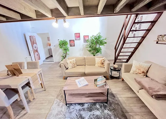 Le Cocon En Bois Majeur - Cosy & Hyper Centre * Limoux