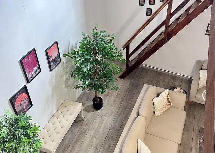 Apartment Cocon En Bois Majeur - Au Coeur De Carnaval A Pied - 4 Couchages Limoux
